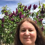 Marilyn Schmidt Lindell - @marilynschmidtlindell - Instagram