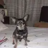 Marysol Escobar Soto - @marysol.escobar.s - TikTok