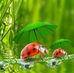 Marysol Lopez - Facebook