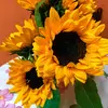 Marysol Rivera🦋🌼 - @marysolrivera2 - TikTok