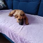 Marzena Duda - @marzena.duda.50 - Instagram