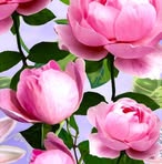 Marzena Duda - Facebook