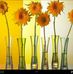 Maxzena Fuller - Facebook