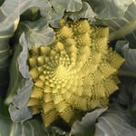 Masako Ota - @teramotomasako - Instagram