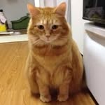 Masako Otani - @otanimasako - Instagram