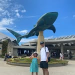 Masaru Hashimoto - @mcsher_ - Instagram