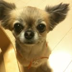 木村 直人 - @masatokimura - Instagram