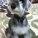 Masato  Kimura - @oskkimura - Instagram