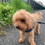 Masato Oyama - @masato.oyama1012 - Instagram
