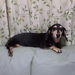 Masatoshi Ito - @masatoshi.ito.357 - Instagram