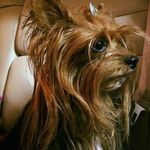 Masatoshi Ito - @pino_ito - Instagram