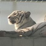 Masatoshi Ito - @masatoshi.ito.9862 - Instagram