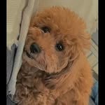 masayuki ando - @antengzhengzhi1040 - Instagram