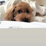 masayuki ando - @antengzhengzhi - Instagram