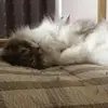 Masayuki Ando - @31914383305 - TikTok
