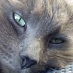 Маша Фишина - @mashafishina - Instagram