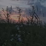 @_masha_fish - Instagram