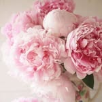 Masha5484 - @masha.fish.395 - Instagram