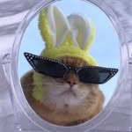 Маша - @masha_fish - Instagram