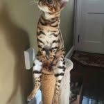 Masha fish - @mashafish1 - Instagram