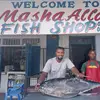 mashaallahfishshop - @mashaallahfishshop - TikTok