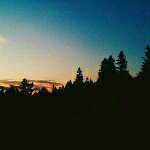 avrora #99 - @geller.masha - Instagram
