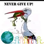 Mamush Masha Ma - Facebook
