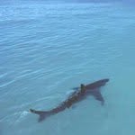 @masha_schmidt497 - Instagram