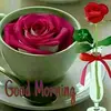 Mashiur Rahman - @mashiur.rahman138 - TikTok