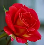 Mason Smith - Facebook