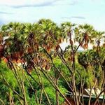 Maslah Hussein Ibrahim - @maslah.hussein.14 - Instagram