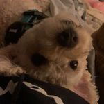 Mason Ackerman - @masonackerm - Instagram