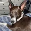 Adam Mason - @adammason1 - TikTok
