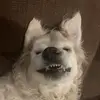 Mason - @masonadams2424 - TikTok