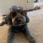 Mason Altmann - @mason_altmann - Instagram
