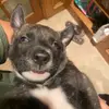 Mason Andersen - @mason_andersen_ - TikTok