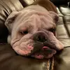 Mason - @masonarthur67 - TikTok