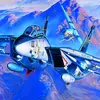 🦅🇺🇸F14🇺🇸🦅 - @masonballard20 - TikTok