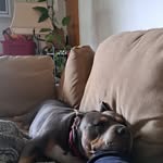 Mason Ballou - @mason.the.balloon - Instagram