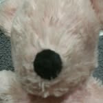 mason bareham - @barehammason - Instagram