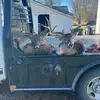 Mason_barr🇺🇸🦌🎣✝️ - @mason.barr0 - TikTok