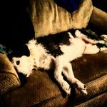 Mason Barrows - @dragondallz17 - Instagram