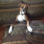mason - @masonbeardsley - Instagram