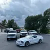 elmonkey - @masonbeaumont - TikTok