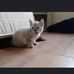 Mason Beier - Facebook
