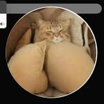 Mason bellamy - @masonbellamy17 - Instagram