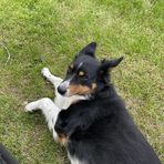 Mason Bernard - Facebook