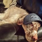 Mason Bischoff - Facebook