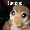 Eugene - @mason.blackwell - TikTok