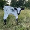 Mason Blankenship - @masonblankenship4 - TikTok